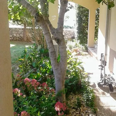 Apartment House Nono Povljana