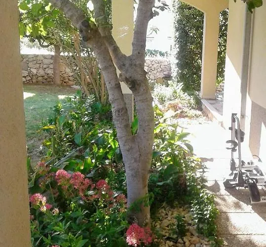 Apartament House Nono Povljana
